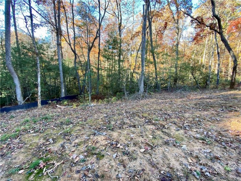 Property image 2 at Lot 9 Ted Linn Drive, Fairview, NC 28730