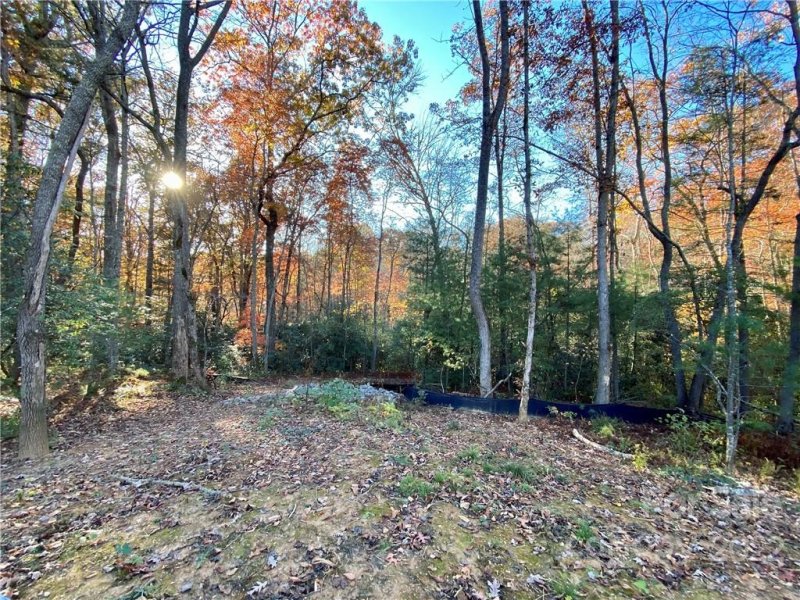Property image 3 at Lot 9 Ted Linn Drive, Fairview, NC 28730