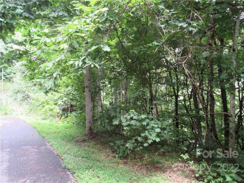 Property image 3 of Lot 23 Village Lane in Villages Of Plott Creek, Waynesville, NC 28786