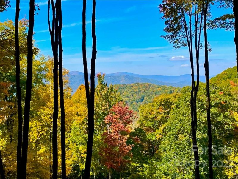 Property image 3 of 0 Aberdene Lane in Highland Forest, Waynesville, NC 28786