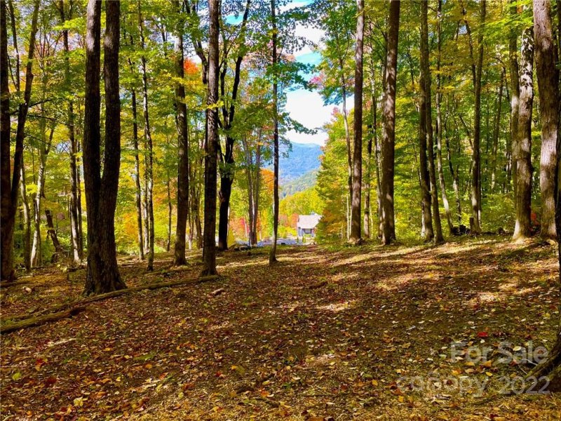 Property image 2 of 0 Finlaystone Trace in Highland Forest, Waynesville, NC 28786