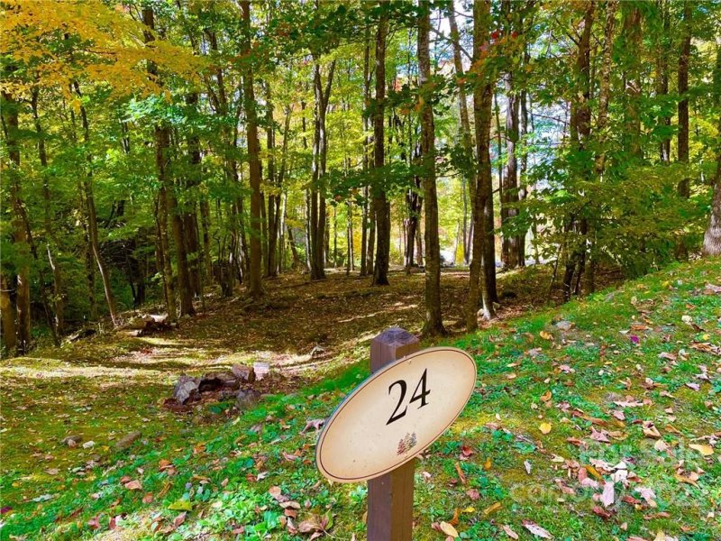 Property image 3 of 0 Finlaystone Trace in Highland Forest, Waynesville, NC 28786