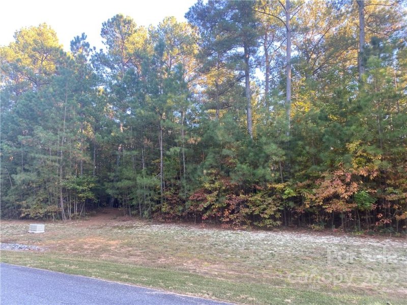 Property image 2 at 214 Rivercliff Drive, Connelly Springs, NC 28612