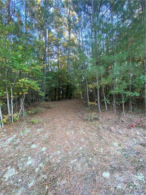 Property image 5 at 214 Rivercliff Drive, Connelly Springs, NC 28612