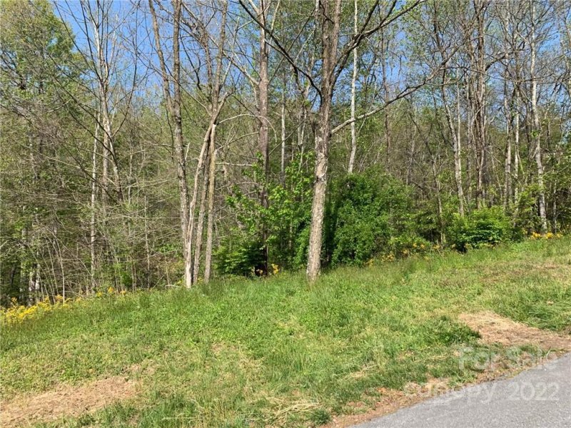 Property image 3 at 0000 Mountain Valley Drive, Hendersonville, NC 28739