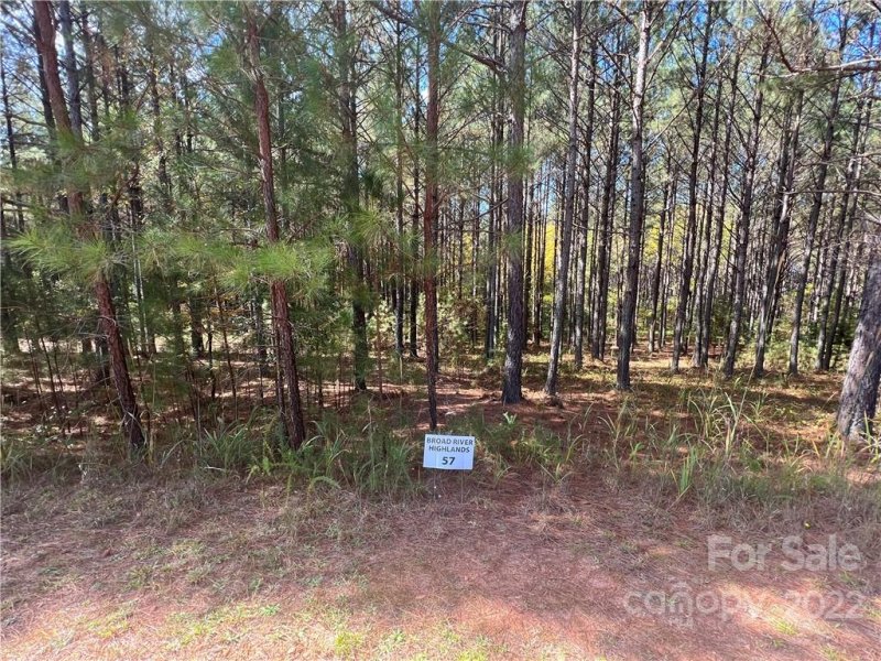 Property image 3 at 120 Whispering Pines Lane, Mooresboro, NC 28114