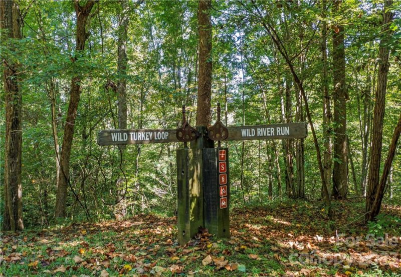 Property image 3 of 51 Wild Turkey Loop in French Broad Crossing, Marshall, NC 28753