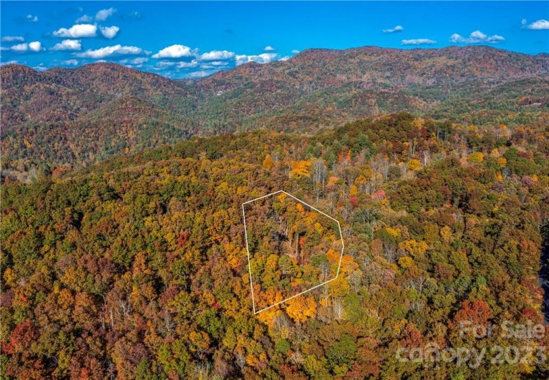 Property image 4 of 51 Wild Turkey Loop in French Broad Crossing, Marshall, NC 28753