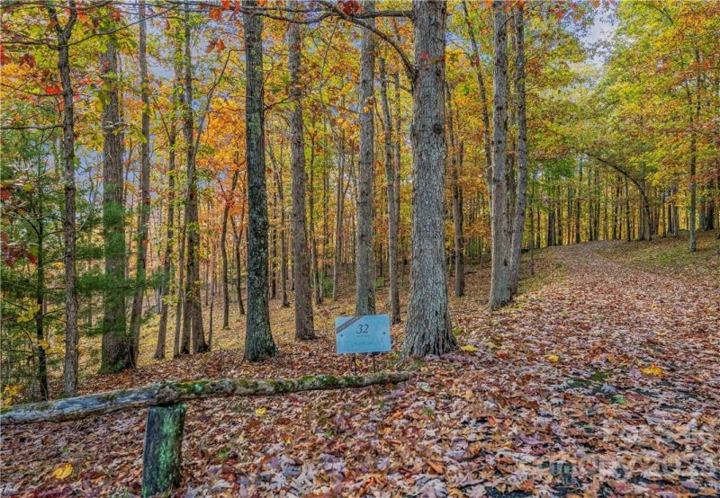 Property image 5 of 51 Wild Turkey Loop in French Broad Crossing, Marshall, NC 28753