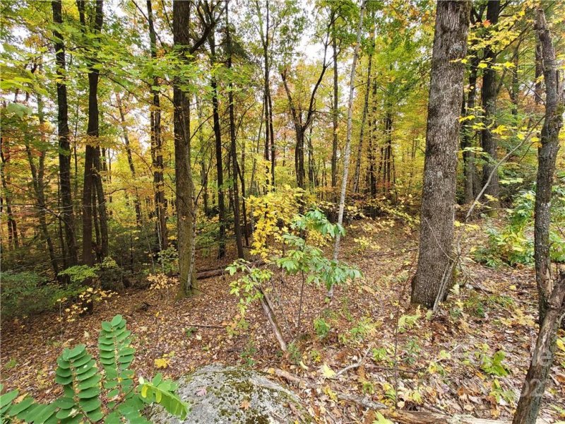 Property image 4 at 6163 Hemlock Lane, Newland, NC 28657