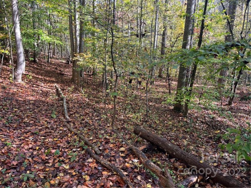 Tbd Haven Heights Drive