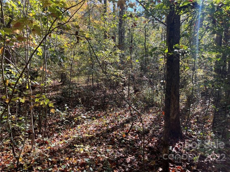 Property image 2 at Tbd Haven Heights Drive, Marion, NC 28752