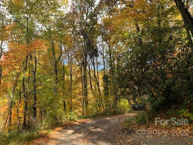 Property image 2 at 199 Azalea Drive, Maggie Valley, NC 28751