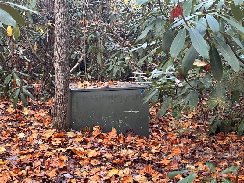 Property image 2 at Tbd Hemlock Ridge Trail, Pisgah Forest, NC 28768