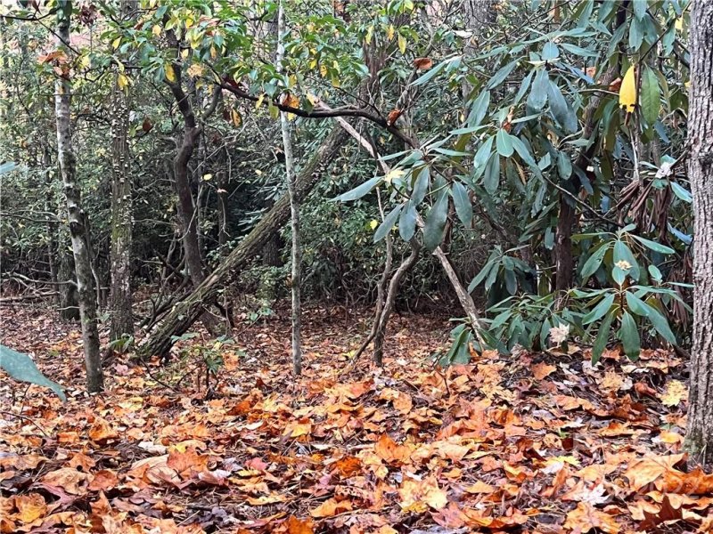Property image 3 at Tbd Hemlock Ridge Trail, Pisgah Forest, NC 28768