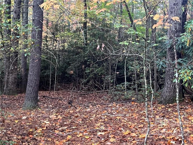 Property image 4 at Tbd Hemlock Ridge Trail, Pisgah Forest, NC 28768