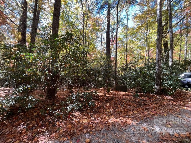 Property image 5 at Tbd Hemlock Ridge Trail, Pisgah Forest, NC 28768
