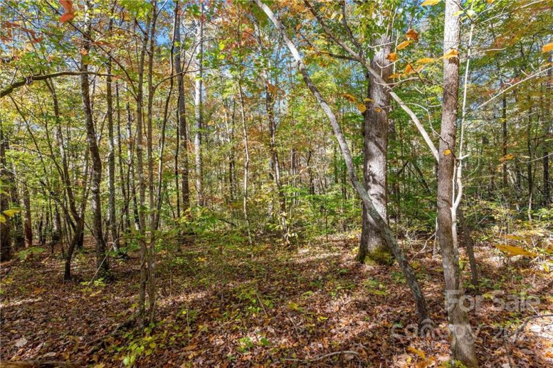 Property image 5 at 00 Bent Creek Drive, Nebo, NC 28761