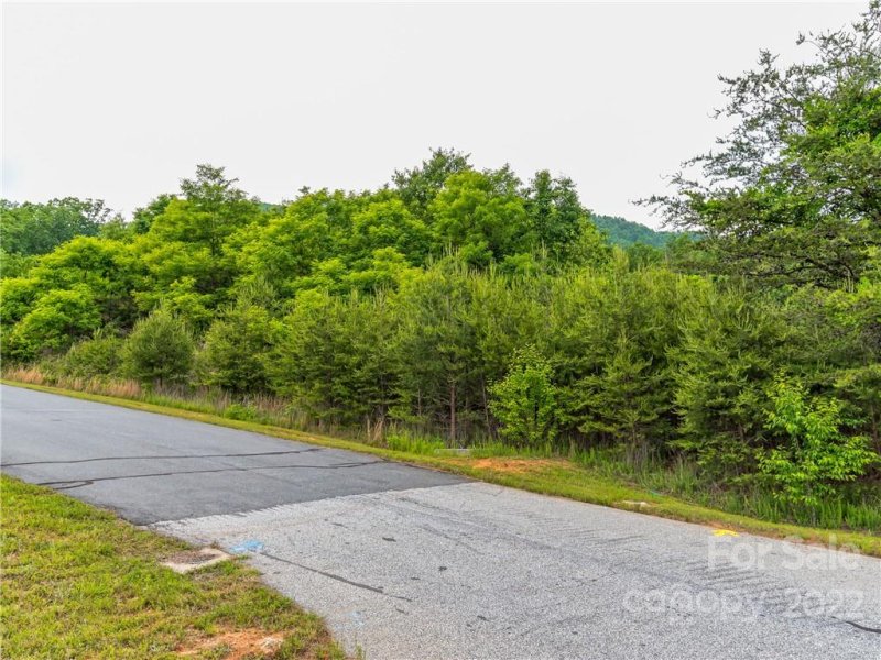 Property image 2 at Lot 163 Deep Gap Farm Road, Mill Spring, NC 28756