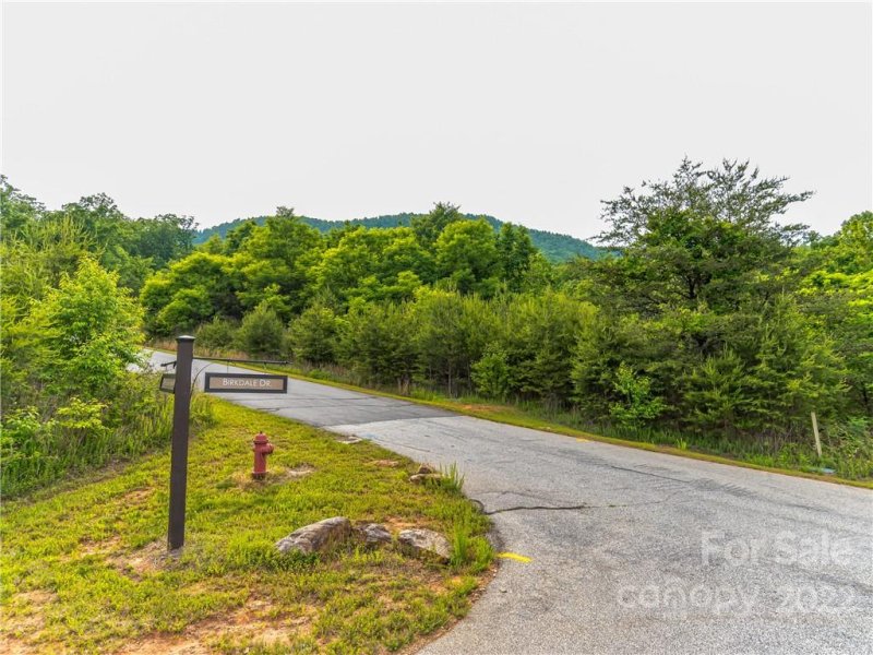 Property image 3 at Lot 163 Deep Gap Farm Road, Mill Spring, NC 28756