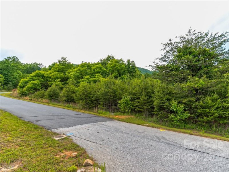 Property image 4 at Lot 163 Deep Gap Farm Road, Mill Spring, NC 28756