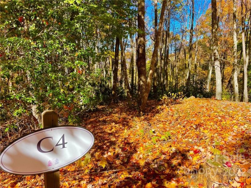 Property image 2 of 0 Blair Athel Point in Highland Forest, Waynesville, NC 28786