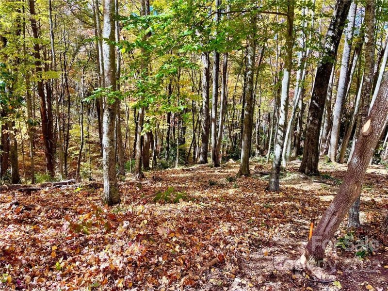 Property image 4 of 0 Blair Athel Point in Highland Forest, Waynesville, NC 28786