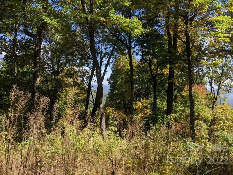 Property image 2 at 2687 Creston Drive, Black Mountain, NC 28711