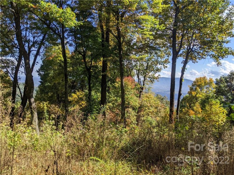 Property image 3 at 2687 Creston Drive, Black Mountain, NC 28711