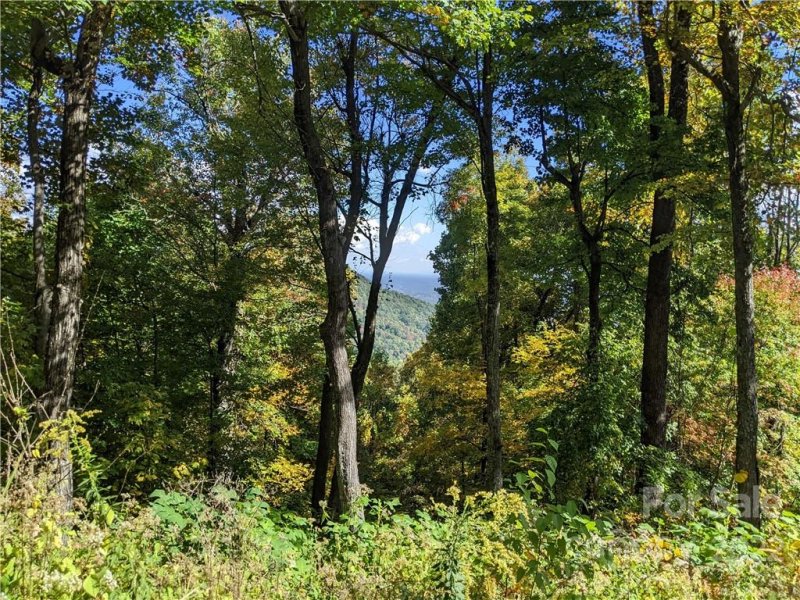 Property image 4 at 2687 Creston Drive, Black Mountain, NC 28711