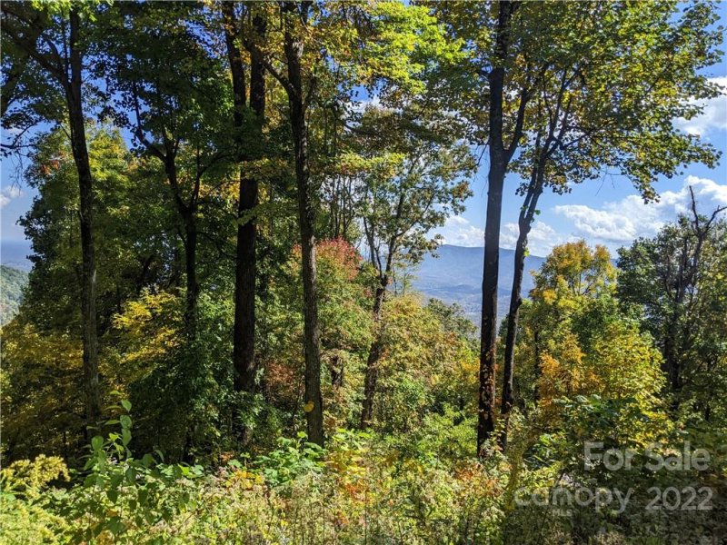 Property image 5 at 2687 Creston Drive, Black Mountain, NC 28711