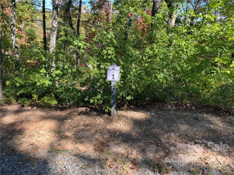 Property image 2 of Lt 1 Lure Ridge Drive in Lure Ridge, Lake Lure, NC 28746