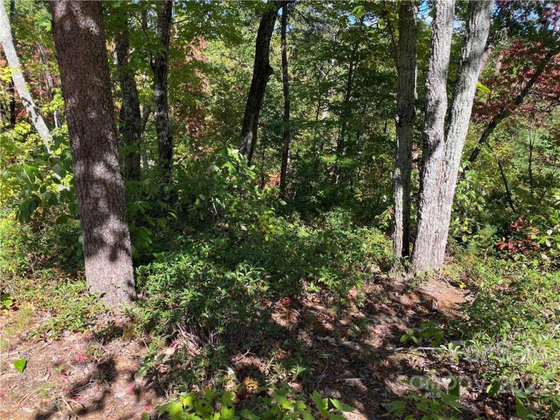 Property image 5 of Lt 1 Lure Ridge Drive in Lure Ridge, Lake Lure, NC 28746