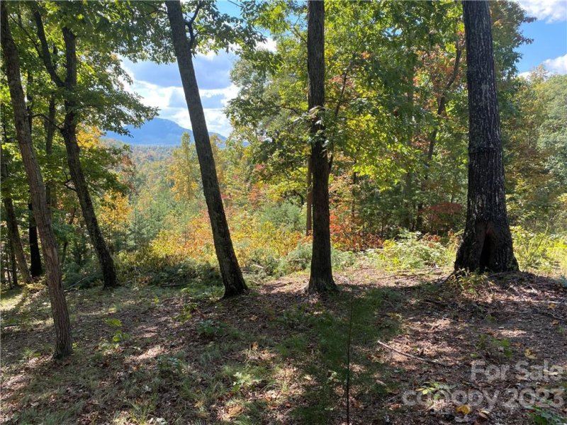 Property image 3 at 109 Mountain Brook Trail, Nebo, NC 28761