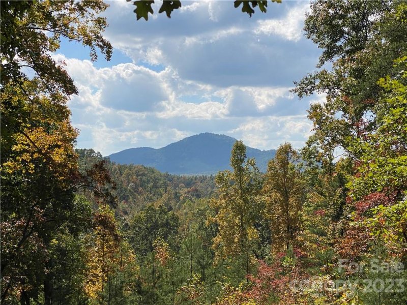 Property image 4 at 109 Mountain Brook Trail, Nebo, NC 28761