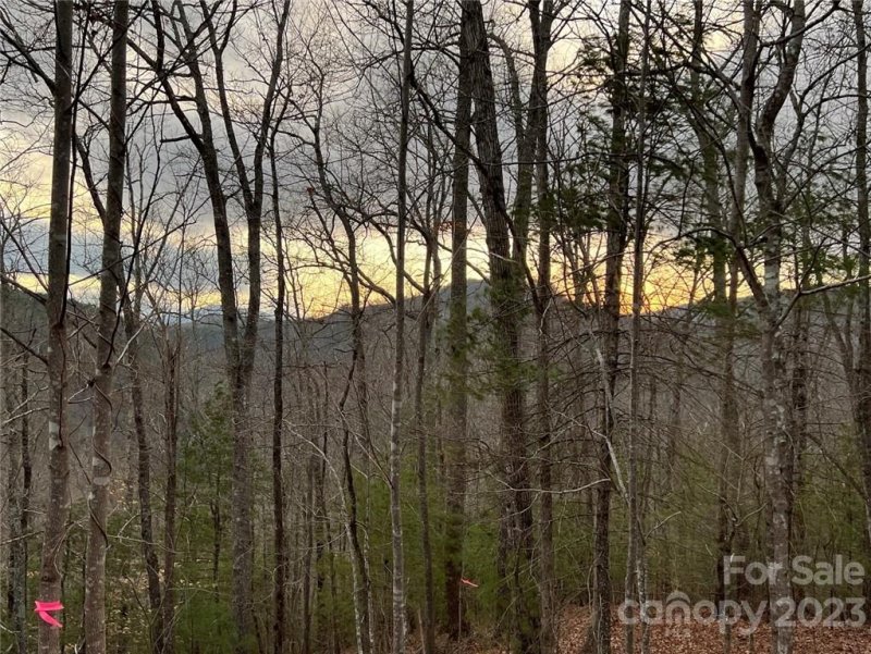 Lot 107 Laurel Ridge