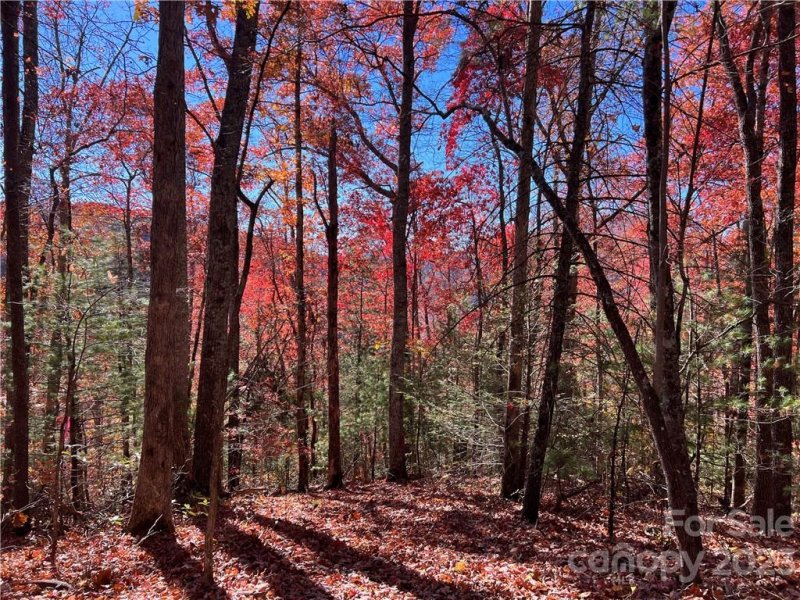 Property image 3 at Lot 107 Laurel Ridge, Marshall, NC 28753