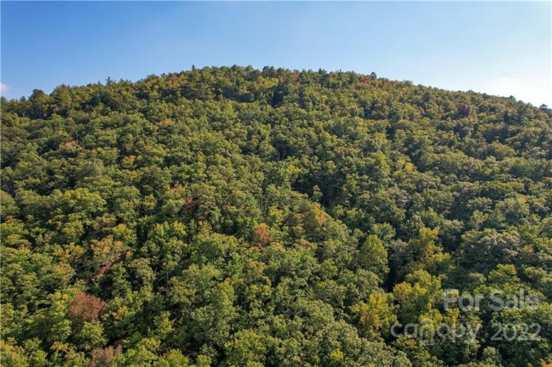 Property image 2 at 11 Silver Maple Trail, Rosman, NC 28772