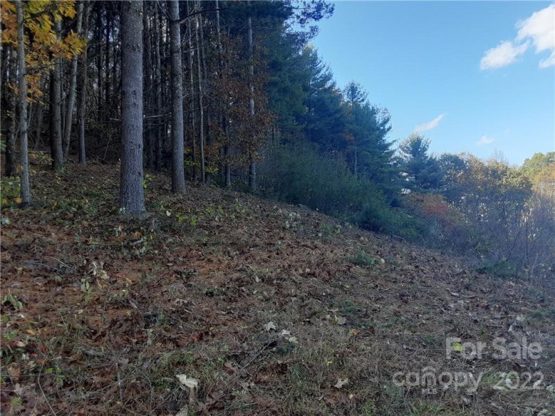 Property image 3 at 36 Carolina Buckthorn Drive, Leicester, NC 28748