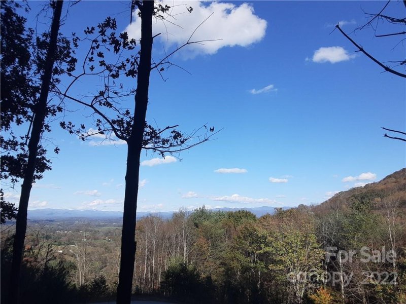 Property image 4 at 36 Carolina Buckthorn Drive, Leicester, NC 28748