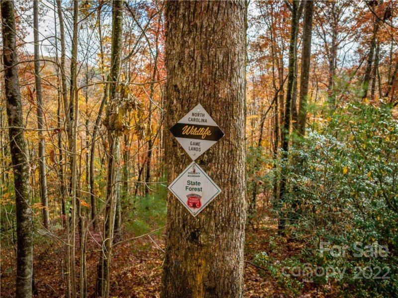 Property image 4 at 1048 Laurel Thicket Lane, Brevard, NC 28712