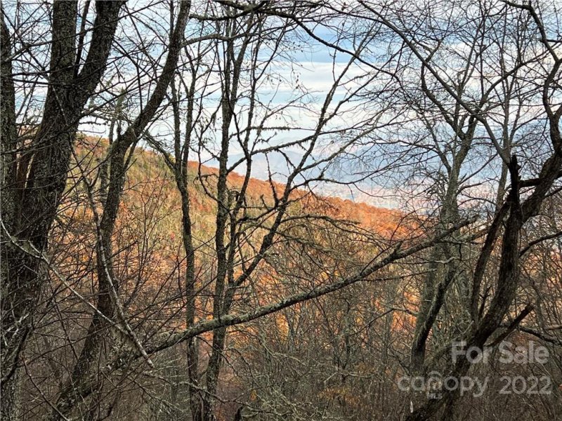 Property image 2 at 120 Briarwood Road, Maggie Valley, NC 28751