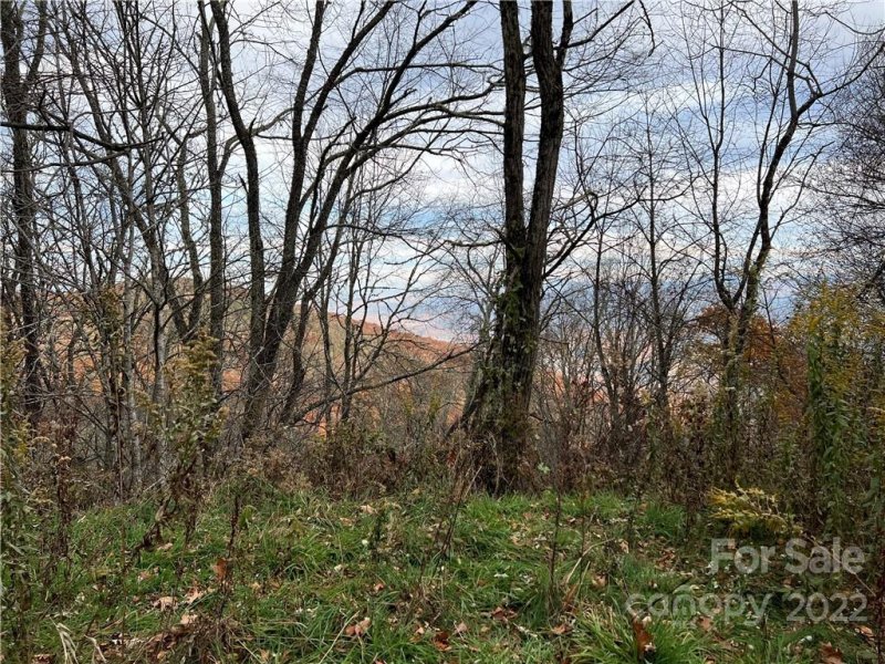 Property image 3 at 120 Briarwood Road, Maggie Valley, NC 28751