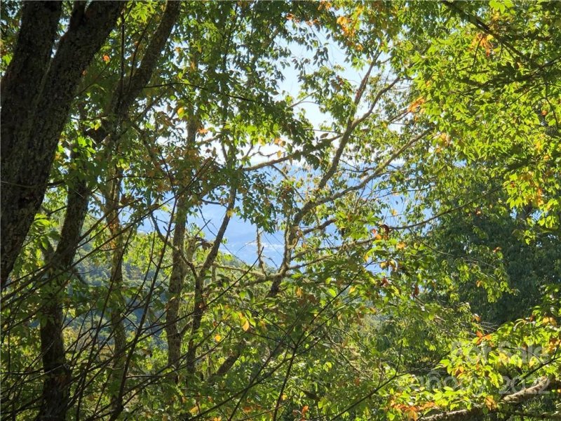 Property image 4 at 120 Briarwood Road, Maggie Valley, NC 28751