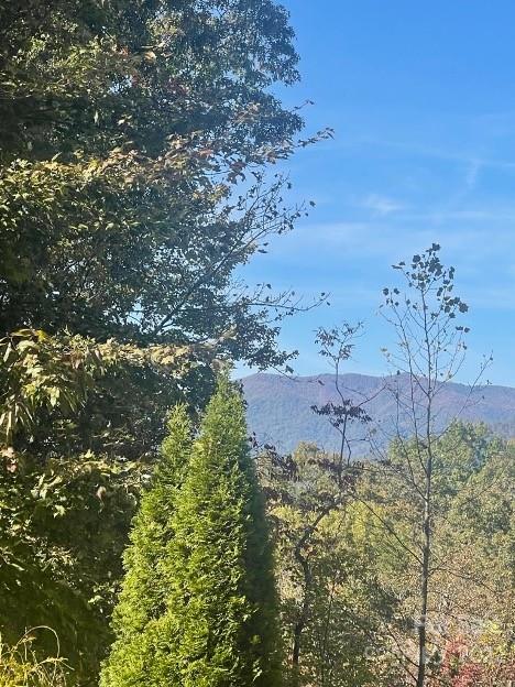 Property image 2 at Lot 46 Lakewood Sub Bald Eagle Road, Marion, NC 28752