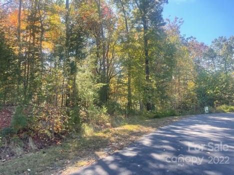 Property image 5 at Lot 46 Lakewood Sub Bald Eagle Road, Marion, NC 28752