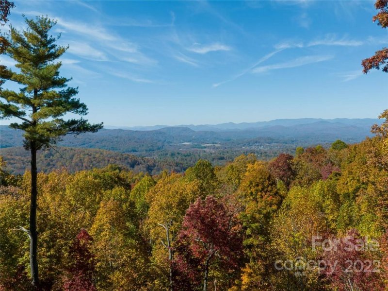 Property image 3 at 50 Ladys Fern Trail, Laurel Park, NC 28739