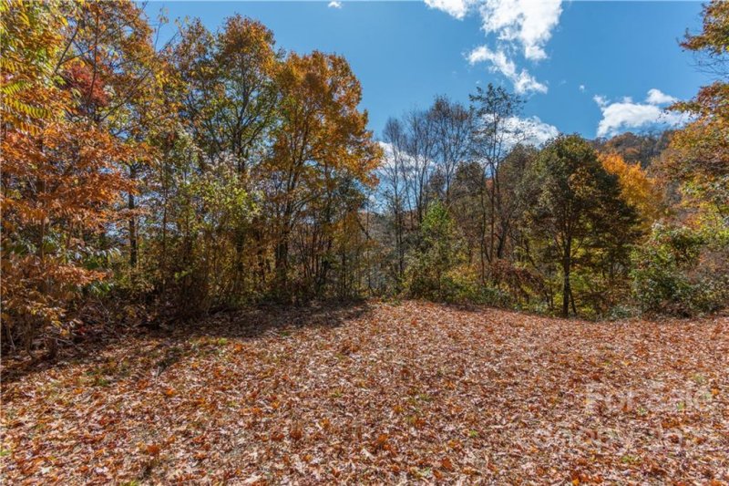 Property image 3 at Tract 6 Catori Trace, Waynesville, NC 28785