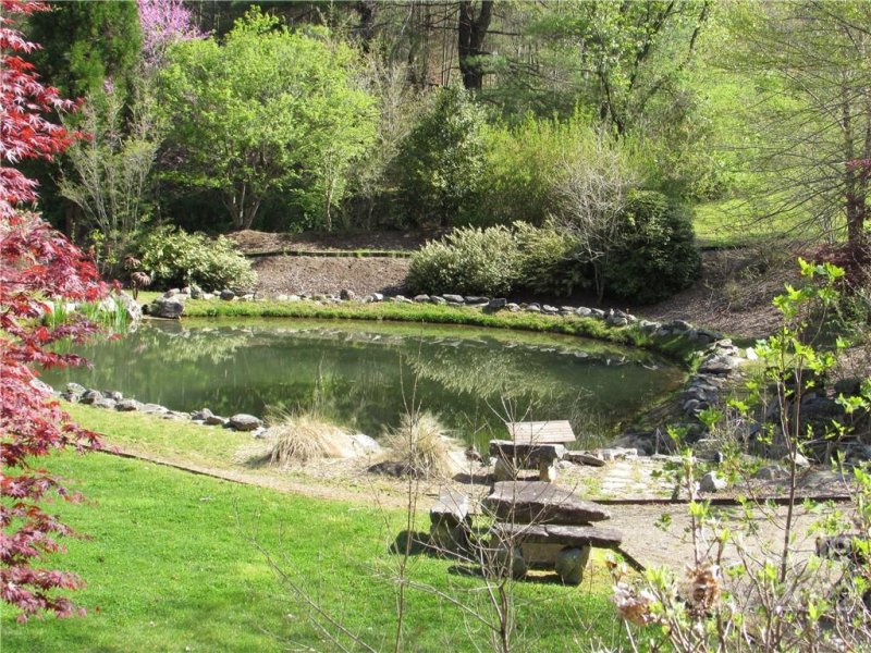 Property image 4 of E 18 17 Red Wolf Run None in Red Wolf Run, Mars Hill, NC 28754