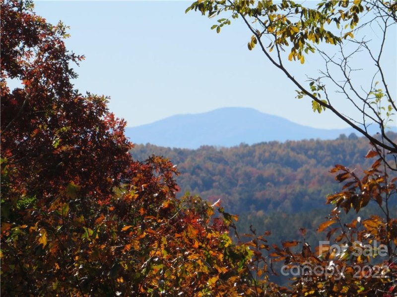 0 Mountain Forest Drive